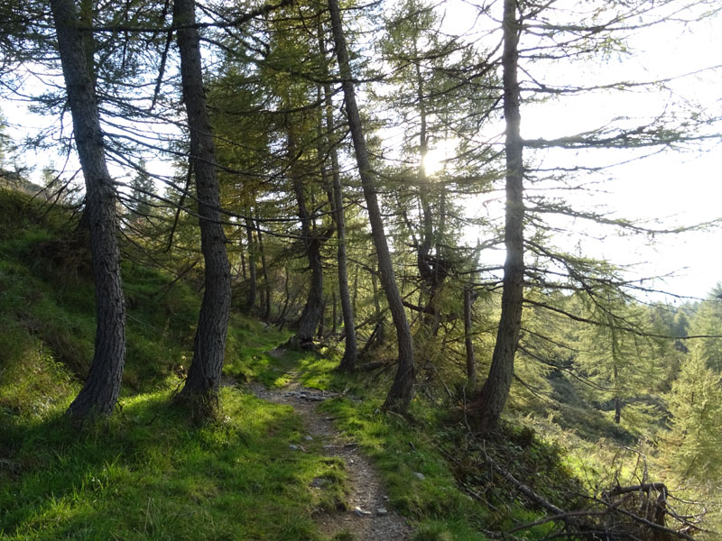 Catena dei Lagorai...da Pergine al Passo del Manghen